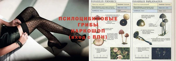 PSILOCYBIN Володарск