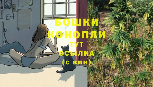PSILOCYBIN Володарск
